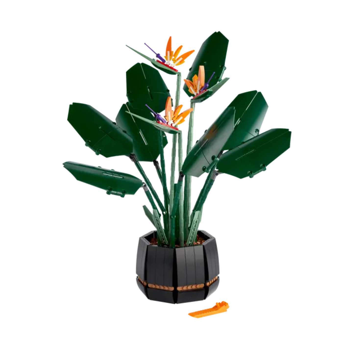 LEGO 10289 Bird of Paradise